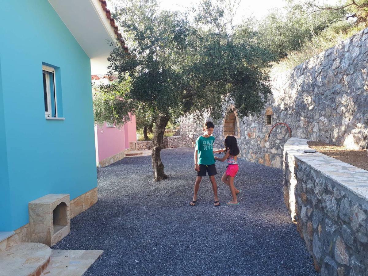 Shiraz * Kalamáta
